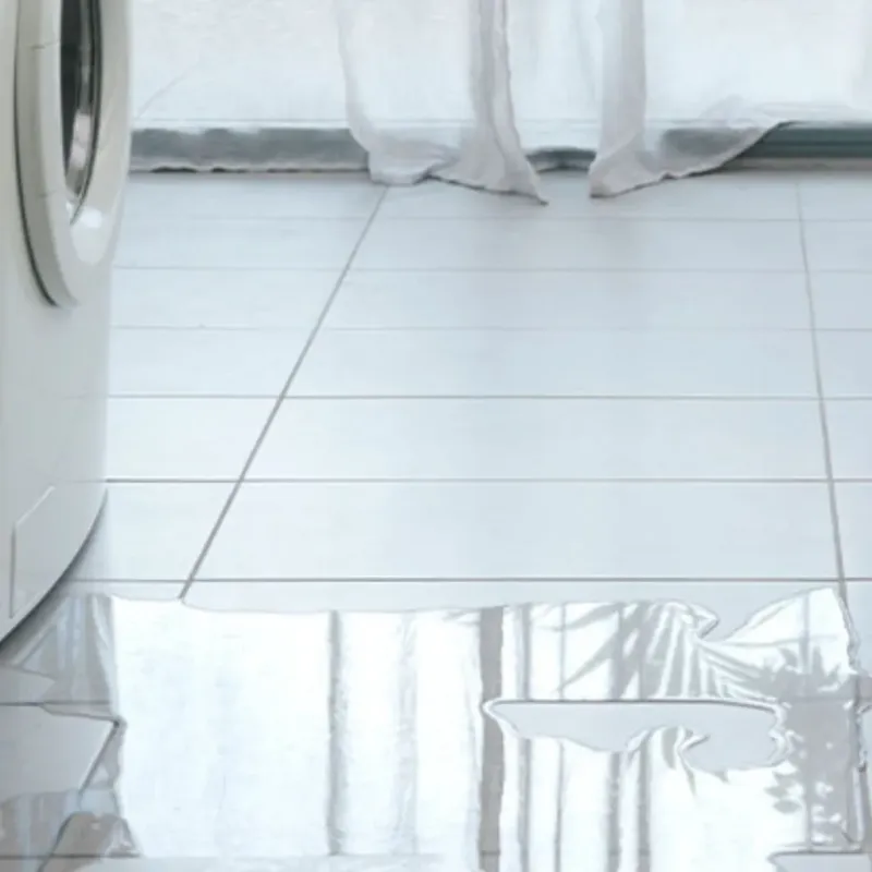 Appliance Leak Cleanup in King City, OR